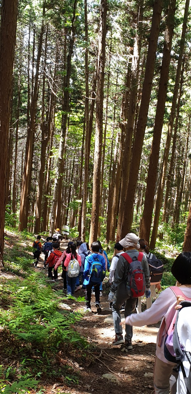 워크북 숲길.png